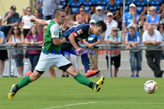 Testspiel - 15/16 - TSG 1899 Hoffenheim vs. FC Zuzenhausen (© Kraichgausport / Loerz)