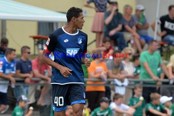 Testspiel - 15/16 - TSG 1899 Hoffenheim vs. FC Zuzenhausen (© Kraichgausport / Loerz)