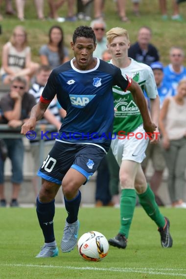 Testspiel - 15/16 - TSG 1899 Hoffenheim vs. FC Zuzenhausen (© Kraichgausport / Loerz)