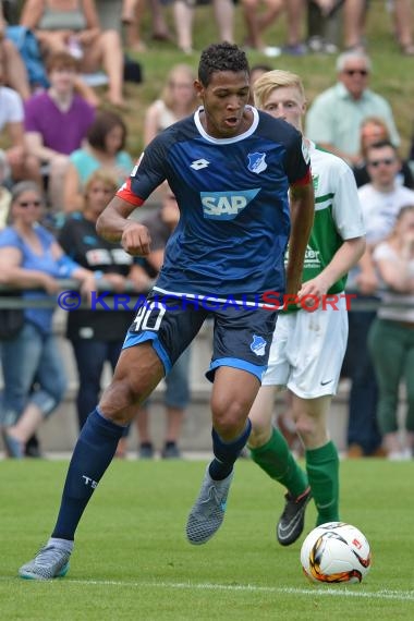 Testspiel - 15/16 - TSG 1899 Hoffenheim vs. FC Zuzenhausen (© Kraichgausport / Loerz)