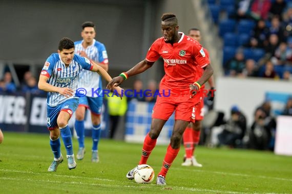 1.BL - 15/16 - TSG 1899 Hoffenheim vs. Hannover 96 (© Kraichgausport / Loerz)