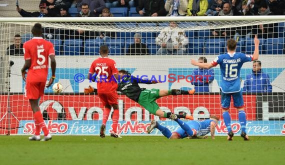 1.BL - 15/16 - TSG 1899 Hoffenheim vs. Hannover 96 (© Kraichgausport / Loerz)