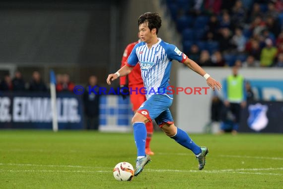 1.BL - 15/16 - TSG 1899 Hoffenheim vs. Hannover 96 (© Kraichgausport / Loerz)