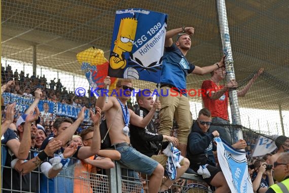 1.BL - 17/18 - TSG 1899 Hoffenheim vs. Bor. Dortmund (© Kraichgausport / Loerz)