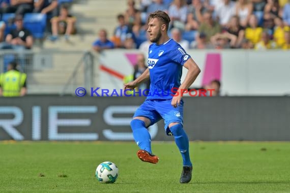 1.BL - 17/18 - TSG 1899 Hoffenheim vs. Bor. Dortmund (© Kraichgausport / Loerz)