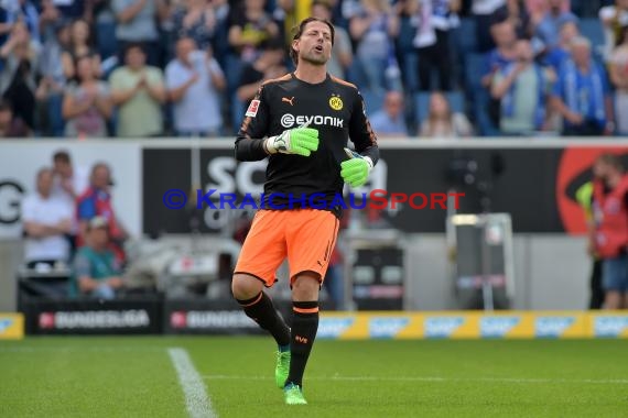 1.BL - 17/18 - TSG 1899 Hoffenheim vs. Bor. Dortmund (© Kraichgausport / Loerz)