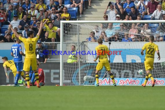 1.BL - 17/18 - TSG 1899 Hoffenheim vs. Bor. Dortmund (© Kraichgausport / Loerz)