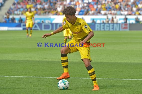 1.BL - 17/18 - TSG 1899 Hoffenheim vs. Bor. Dortmund (© Kraichgausport / Loerz)