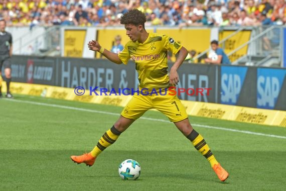 1.BL - 17/18 - TSG 1899 Hoffenheim vs. Bor. Dortmund (© Kraichgausport / Loerz)