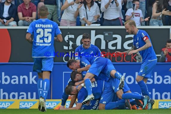 1.BL - 17/18 - TSG 1899 Hoffenheim vs. Bor. Dortmund (© Kraichgausport / Loerz)