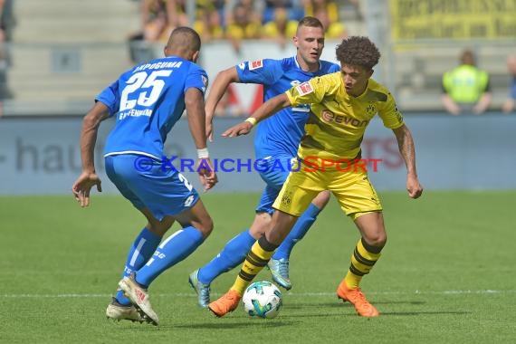 1.BL - 17/18 - TSG 1899 Hoffenheim vs. Bor. Dortmund (© Kraichgausport / Loerz)