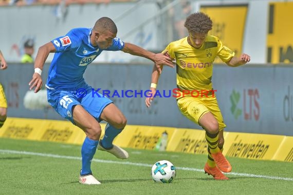 1.BL - 17/18 - TSG 1899 Hoffenheim vs. Bor. Dortmund (© Kraichgausport / Loerz)