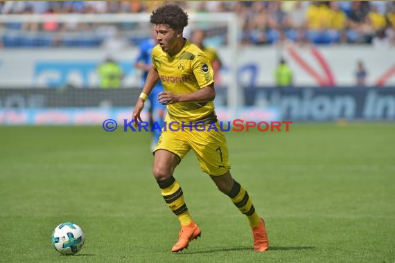 1.BL - 17/18 - TSG 1899 Hoffenheim vs. Bor. Dortmund (© Kraichgausport / Loerz)