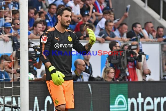 1.BL - 17/18 - TSG 1899 Hoffenheim vs. Bor. Dortmund (© Kraichgausport / Loerz)