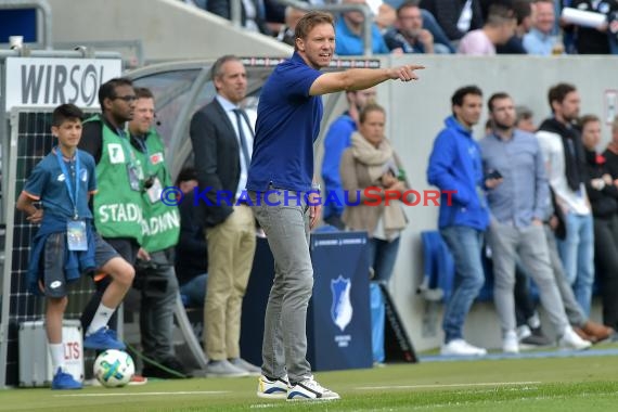 1.BL - 17/18 - TSG 1899 Hoffenheim vs. Hamburger SV (© Kraichgausport / Loerz)