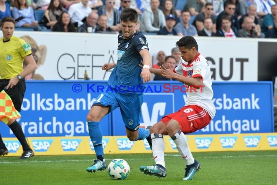 1.BL - 17/18 - TSG 1899 Hoffenheim vs. Hamburger SV (© Kraichgausport / Loerz)