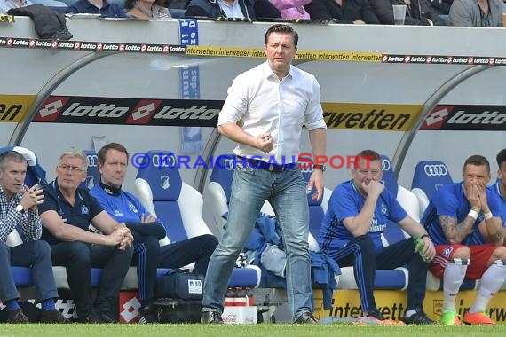 1.BL - 17/18 - TSG 1899 Hoffenheim vs. Hamburger SV (© Kraichgausport / Loerz)