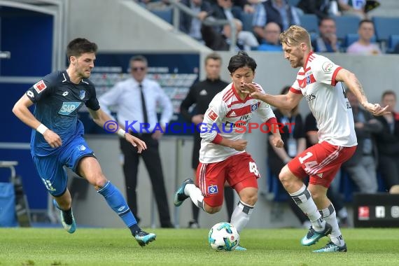 1.BL - 17/18 - TSG 1899 Hoffenheim vs. Hamburger SV (© Kraichgausport / Loerz)