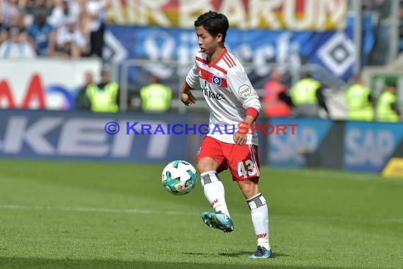 1.BL - 17/18 - TSG 1899 Hoffenheim vs. Hamburger SV (© Kraichgausport / Loerz)