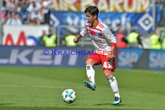 1.BL - 17/18 - TSG 1899 Hoffenheim vs. Hamburger SV (© Kraichgausport / Loerz)