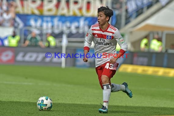 1.BL - 17/18 - TSG 1899 Hoffenheim vs. Hamburger SV (© Kraichgausport / Loerz)