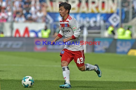 1.BL - 17/18 - TSG 1899 Hoffenheim vs. Hamburger SV (© Kraichgausport / Loerz)