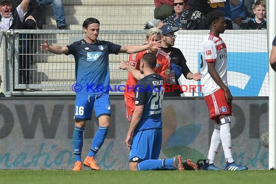 1.BL - 17/18 - TSG 1899 Hoffenheim vs. Hamburger SV (© Kraichgausport / Loerz)