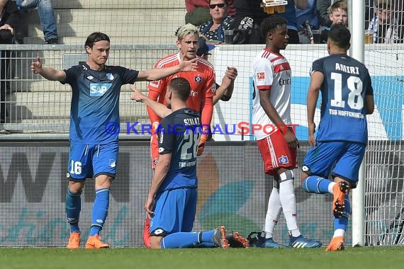 1.BL - 17/18 - TSG 1899 Hoffenheim vs. Hamburger SV (© Kraichgausport / Loerz)