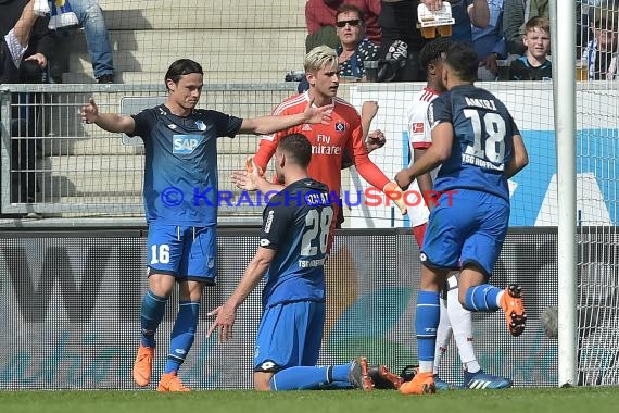 1.BL - 17/18 - TSG 1899 Hoffenheim vs. Hamburger SV (© Kraichgausport / Loerz)