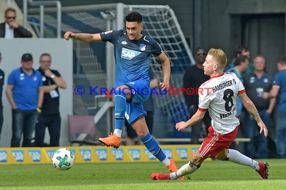 1.BL - 17/18 - TSG 1899 Hoffenheim vs. Hamburger SV (© Kraichgausport / Loerz)