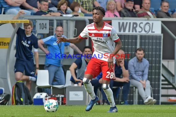 1.BL - 17/18 - TSG 1899 Hoffenheim vs. Hamburger SV (© Kraichgausport / Loerz)