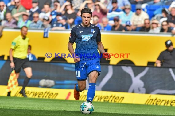 1.BL - 17/18 - TSG 1899 Hoffenheim vs. Hamburger SV (© Kraichgausport / Loerz)