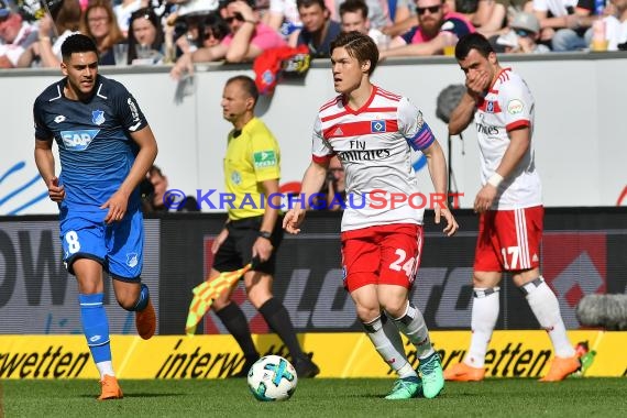 1.BL - 17/18 - TSG 1899 Hoffenheim vs. Hamburger SV (© Kraichgausport / Loerz)