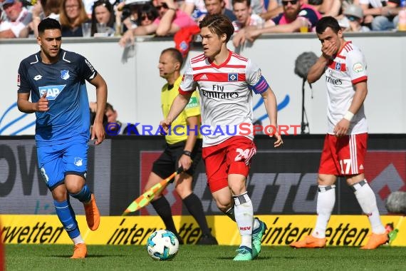 1.BL - 17/18 - TSG 1899 Hoffenheim vs. Hamburger SV (© Kraichgausport / Loerz)