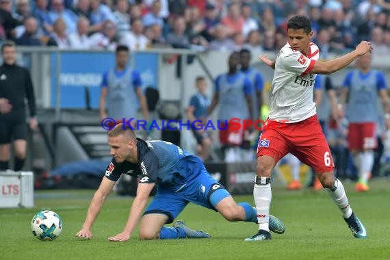 1.BL - 17/18 - TSG 1899 Hoffenheim vs. Hamburger SV (© Kraichgausport / Loerz)