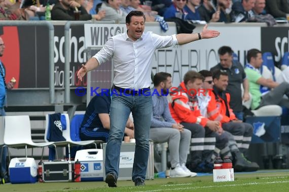 1.BL - 17/18 - TSG 1899 Hoffenheim vs. Hamburger SV (© Kraichgausport / Loerz)