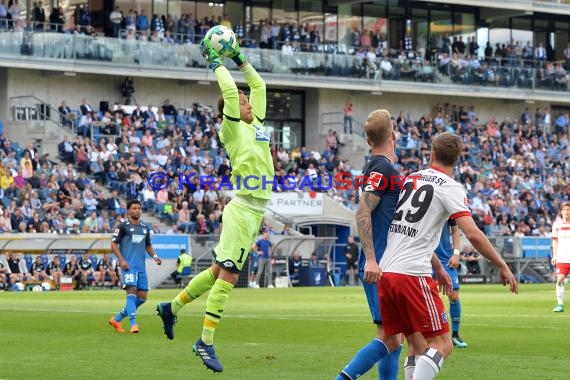 1.BL - 17/18 - TSG 1899 Hoffenheim vs. Hamburger SV (© Kraichgausport / Loerz)