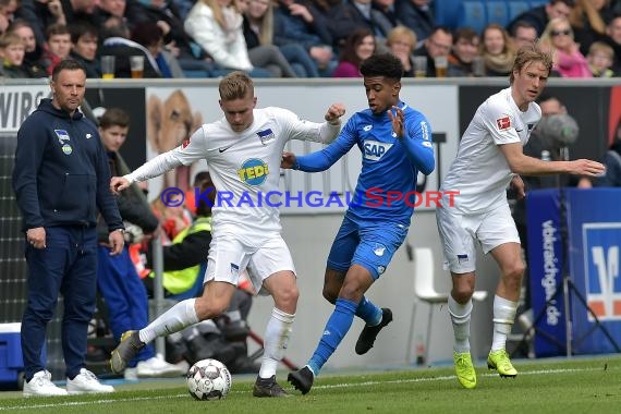 1. BL - 18/19 - TSG 1899 Hoffenheim vs. Hertha BSC Berlin (© Kraichgausport / Loerz)