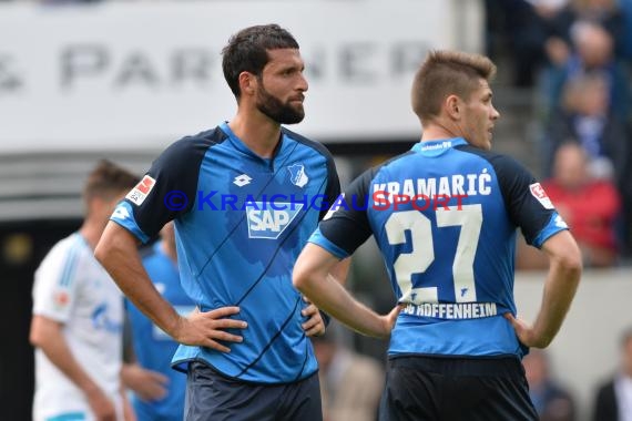 1.BL - 15/16 - TSG 1899 Hoffenheim vs. FC Schalke 04 (© Kraichgausport / Loerz)