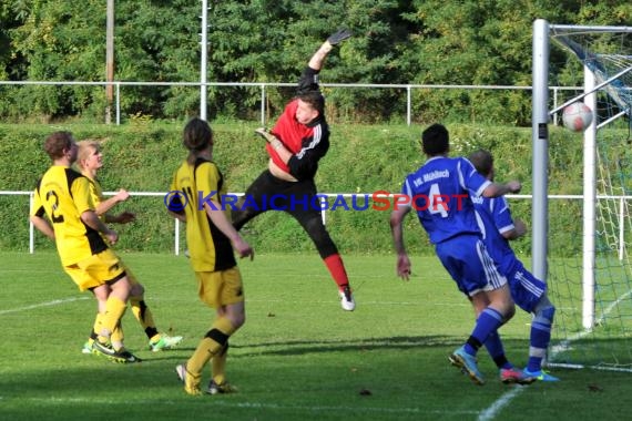 Sinsheim VfL Mühlbach gegen SV Neidenstein 19.10.2013 (© Siegfried)