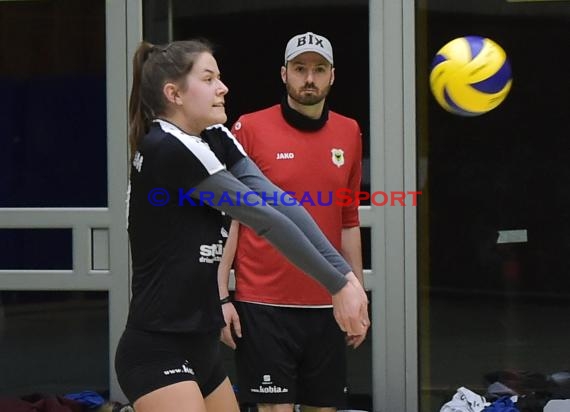 Volleyball Damen 3. Liga Süd SV Sinsheim vs TG Bad Soden  (© Siegfried)