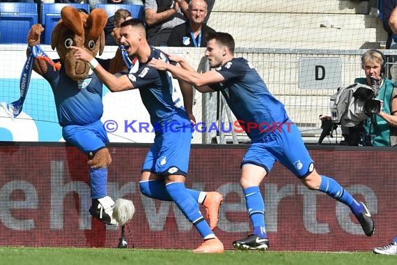 1. BL - 17/18 - TSG 1899 Hoffenheim vs. Hertha BSC Berlin (© Kraichgausport / Loerz)