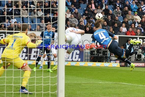 1. BL - 16/17 - TSG 1899 Hoffenheim vs. SV Darmstadt 98 (© Kraichgausport / Loerz)