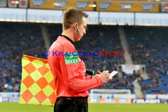 1. BL - 16/17 - TSG 1899 Hoffenheim vs. SV Darmstadt 98 (© Kraichgausport / Loerz)