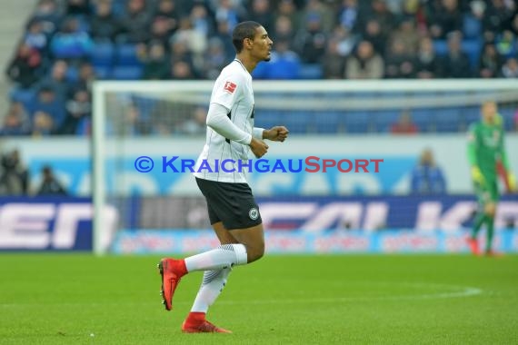 1. BL - 17/18 - TSG 1899 Hoffenheim vs. Eintracht Frankfurt (© Kraichgausport / Loerz)