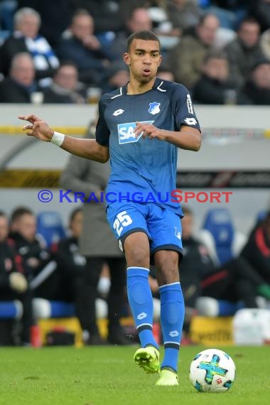 1. BL - 17/18 - TSG 1899 Hoffenheim vs. Eintracht Frankfurt (© Kraichgausport / Loerz)