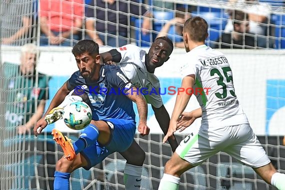 1. BL - 16/17 - TSG 1899 Hoffenheim vs. SV Werder Bremen (© Kraichgausport / Loerz)