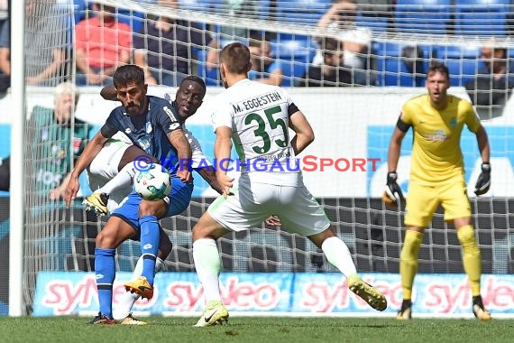 1. BL - 16/17 - TSG 1899 Hoffenheim vs. SV Werder Bremen (© Kraichgausport / Loerz)