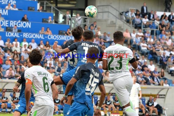 1. BL - 16/17 - TSG 1899 Hoffenheim vs. SV Werder Bremen (© Kraichgausport / Loerz)