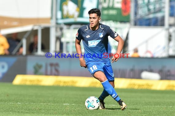 1. BL - 16/17 - TSG 1899 Hoffenheim vs. SV Werder Bremen (© Kraichgausport / Loerz)